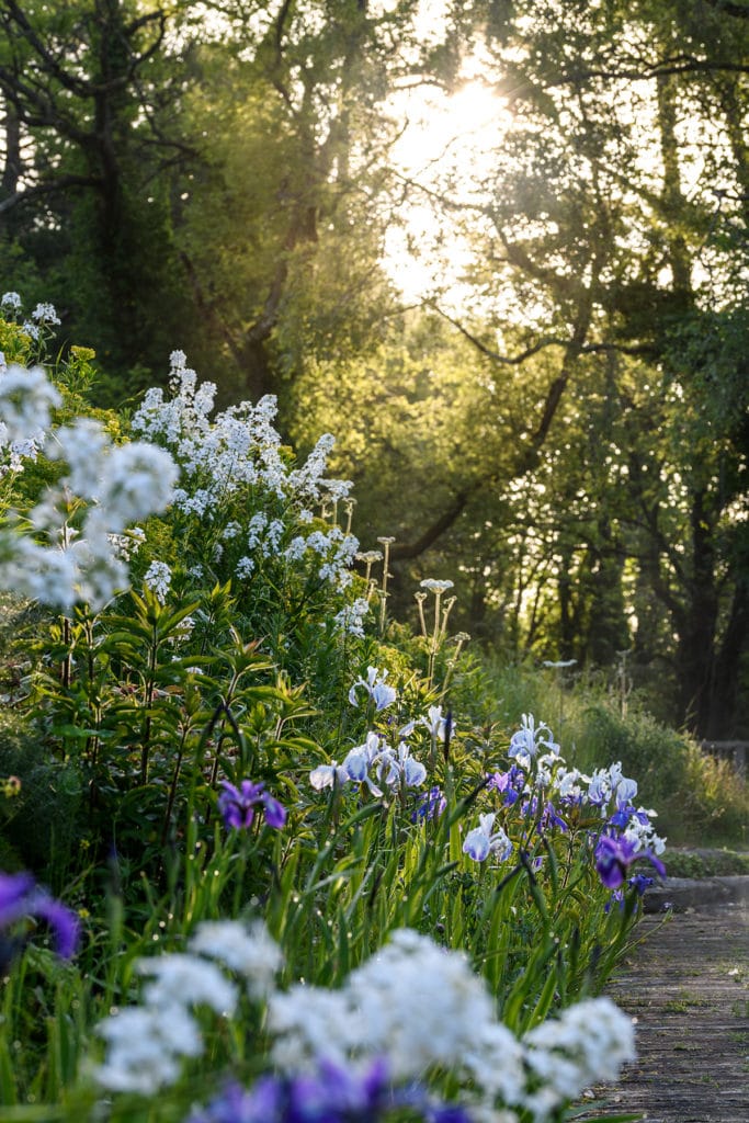 June 20th Open Garden Day